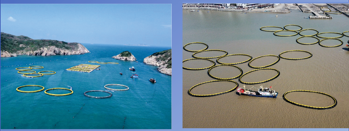 Norwegian style circular net cage